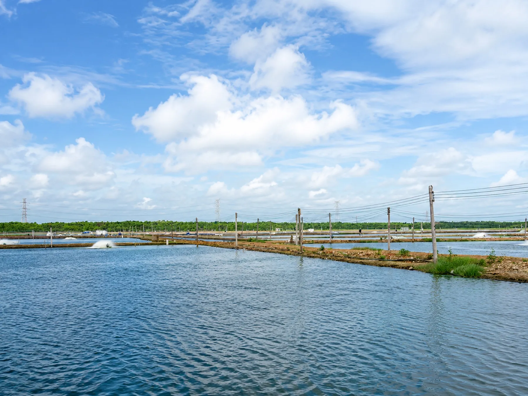 200 Hectares of Farming Bases