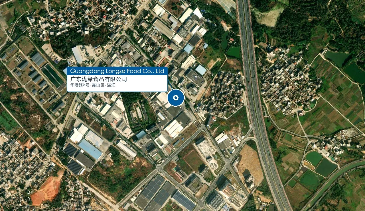 Satellite view — Guangdong Longze Food factory, Zhanjiang