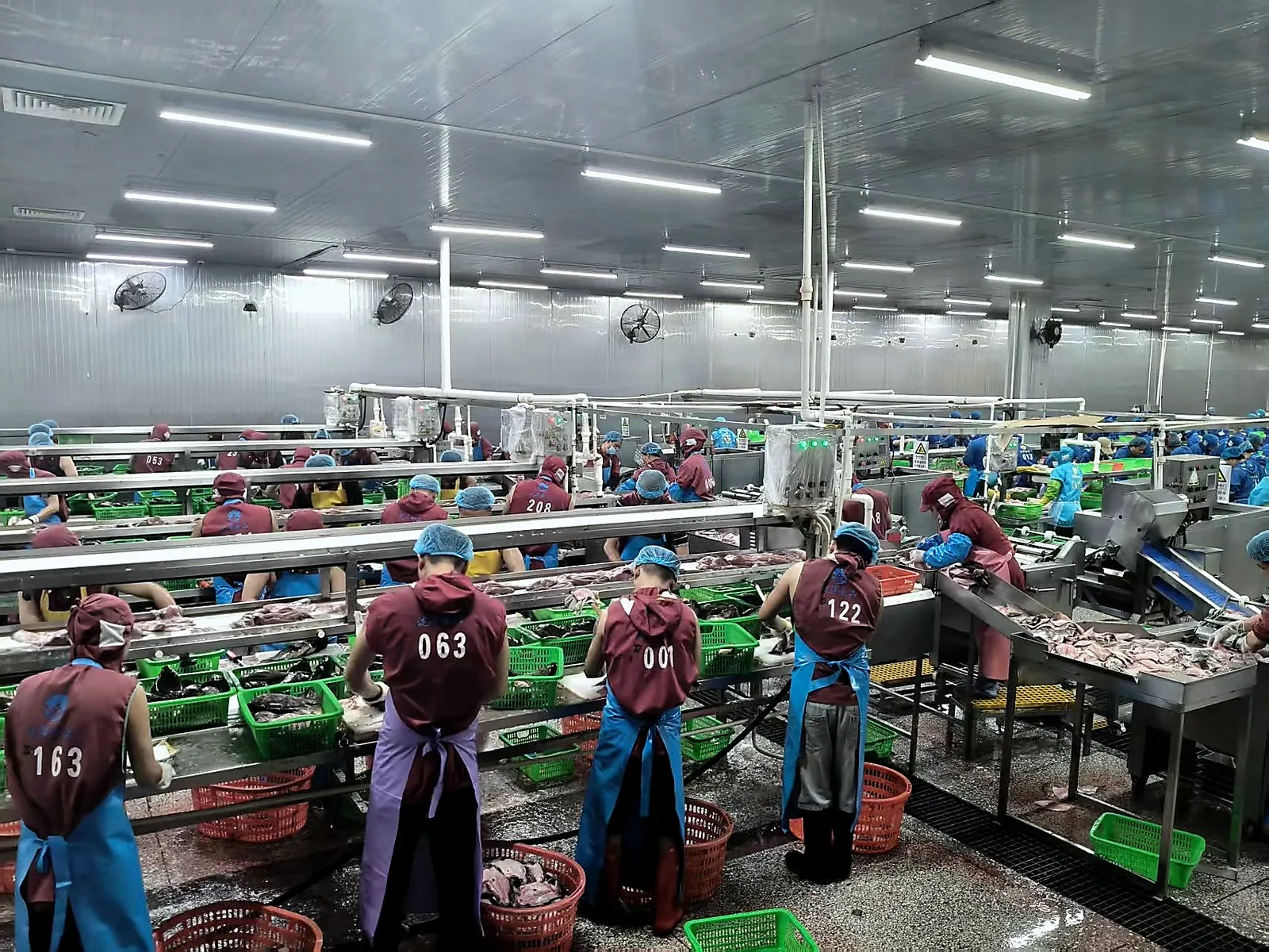 Factory & production line photo selection in progress #1