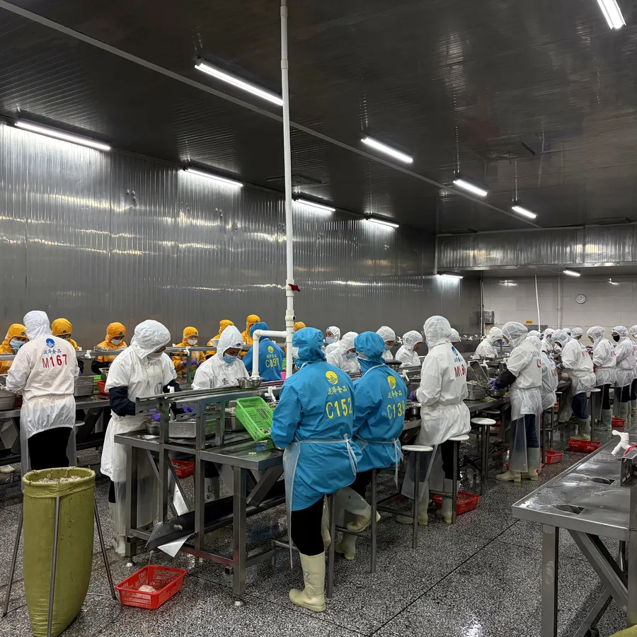 Factory & production line photo selection in progress #2