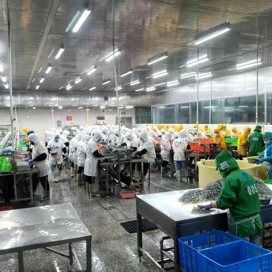 Factory & production line photo selection in progress #3