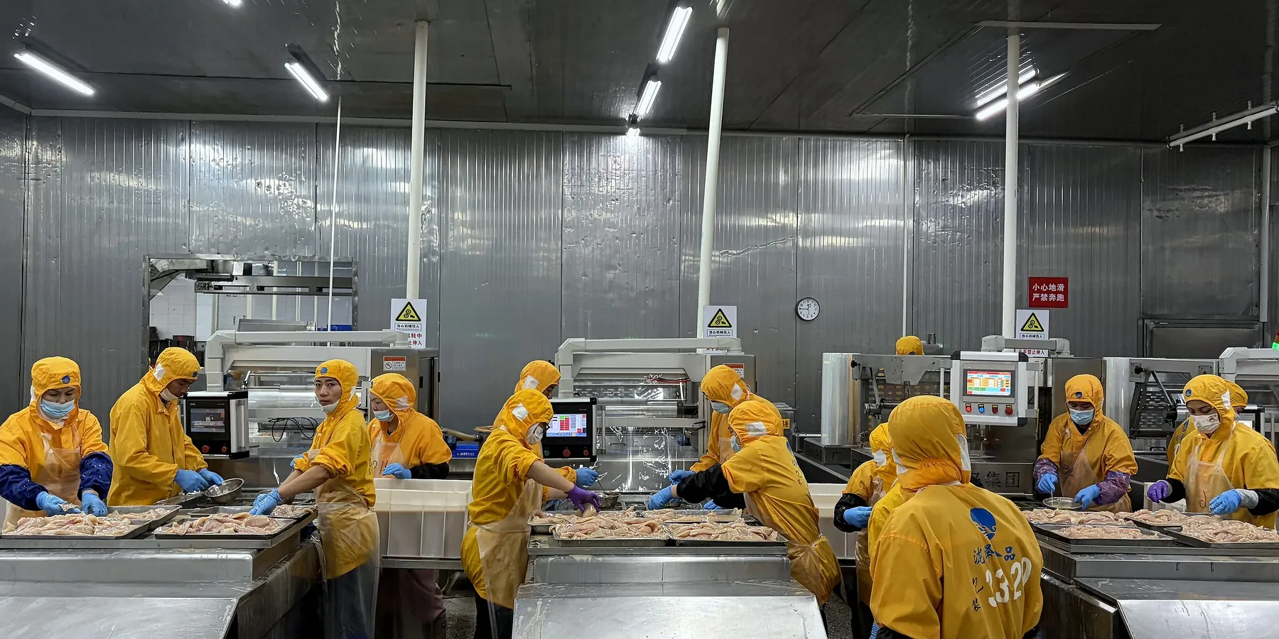 Factory & production line photo selection in progress #4