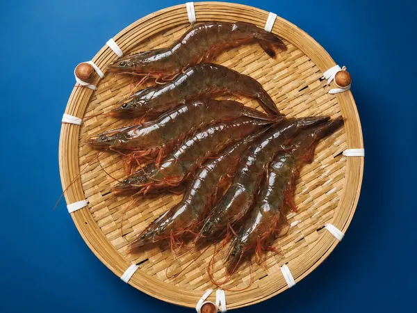 Frozen White Shrimp